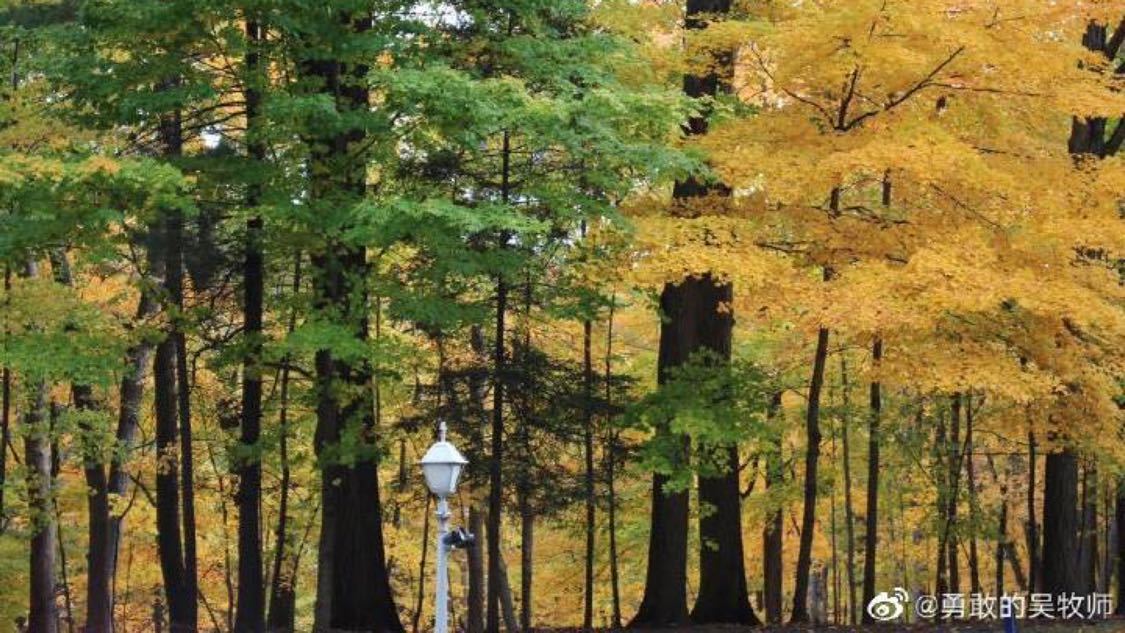 自助下单24小时平台